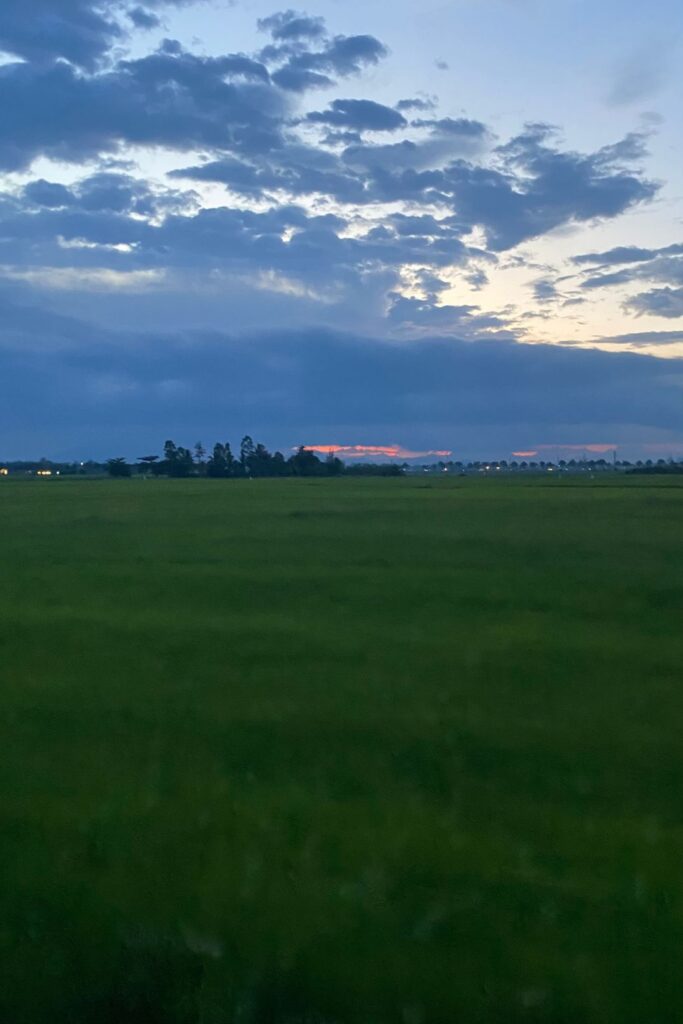 Sonnenuntergang Reisfeld