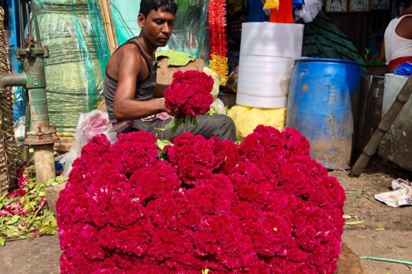 Indien Gespräch mit einem Local, Waltraud Hable, Reisegeheimnisse